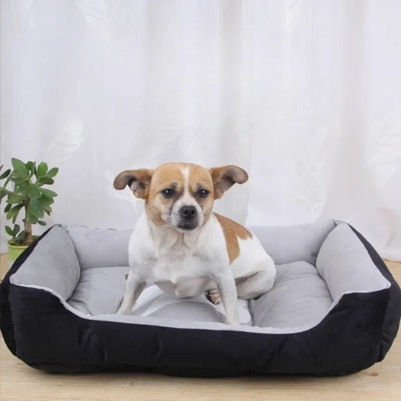 🐾 Offrez à votre fidèle compagnon un lit pour chien alliant confort suprême et style. Découvrez notre gamme adaptée à toutes les tailles, lavable et durable !