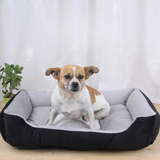🐾 Offrez à votre fidèle compagnon un lit pour chien alliant confort suprême et style. Découvrez notre gamme adaptée à toutes les tailles, lavable et durable !