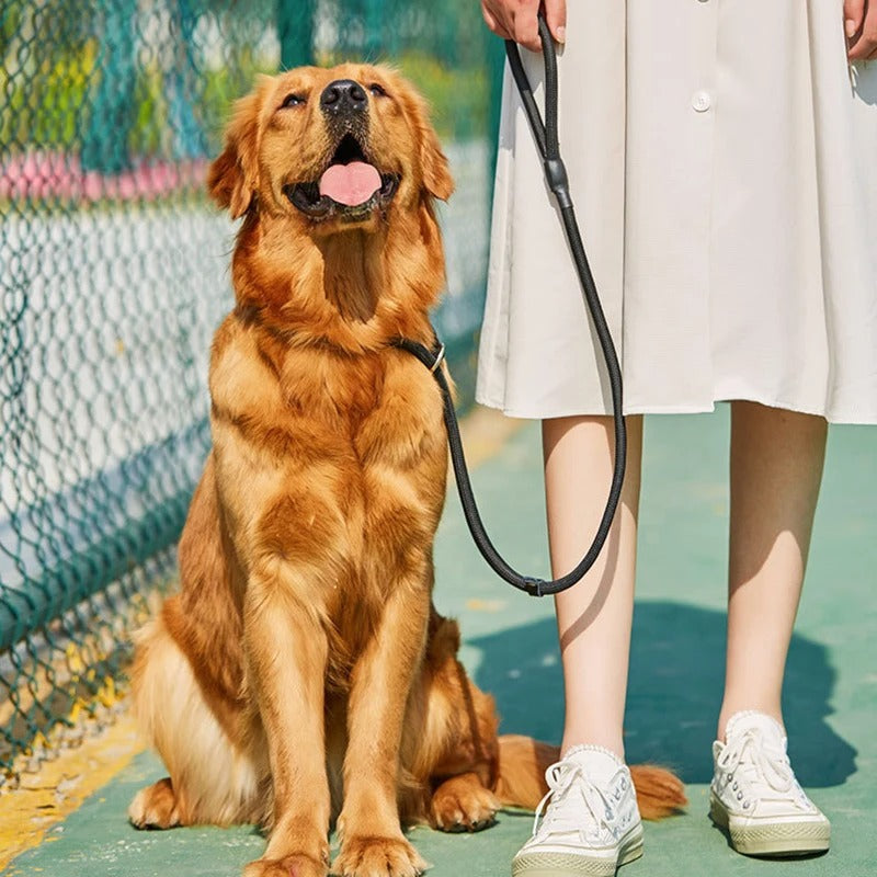  Braided Rope Leash-Kaki-Laisse –  tressée