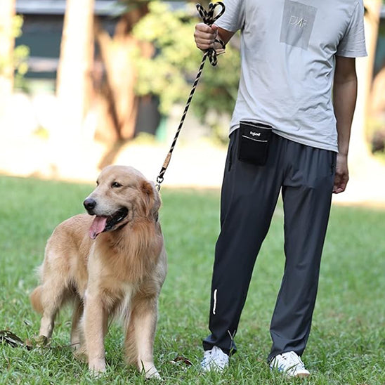 laisse-pour-chien-labrador-d'exercices