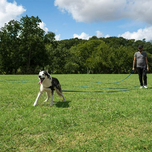 laisse-pour-chien-Noir-longue