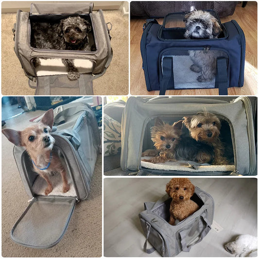 🐕 Voyagez en toute sérénité avec votre compagnon à quatre pattes Découvrez notre Sac de transport pour chien innovant, conçu pour offrir confort et sécurité 