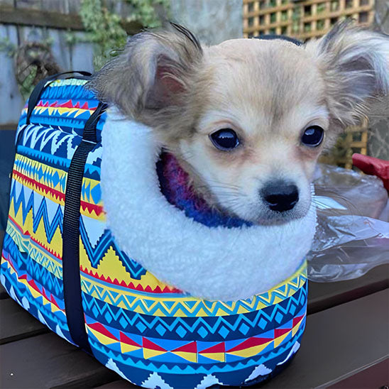  🐕 Découvrez notre sac à dos pour chien et gardez les mains libres lors de vos sorties ! Confort et sécurité pour votre fidèle compagnon part temp froid  